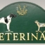 Veterinären