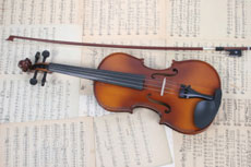 Violin