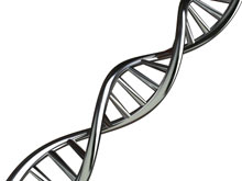 Finns det entrepenöranda i ditt DNA?