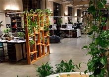 Okia och Der Tanks gemensamma kontor i Estland
