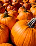 Pumpor Pumpor